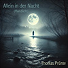 Cover Allein in der Nacht (Mondlicht)